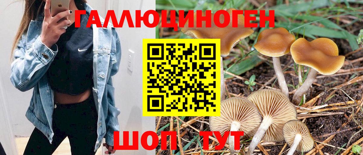 A PVP СОЛЬ   Донской  Канабис  Вход с VPN  Меф   ГАШ  ГАШИШ  COCAIN 