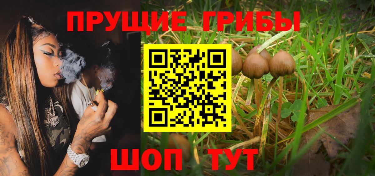 Галлюциногенные грибы Magic Shrooms Донской